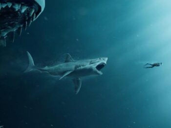 Hiu Megalodon Predator Purbakala Terbesar Penuh Misteri