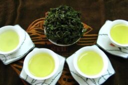 Ada yang Dibikin dari Kotoran Panda, Ini 5 Minuman Aneh di Dunia