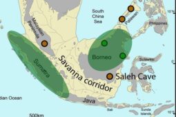 Benua Sundaland dan Atlantis, Ini Dia Mitos vs Faktanya
