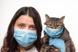 Kucing dan Anjing Membutuhkan Vaksin Virus Corona Sendiri, Kenapa?