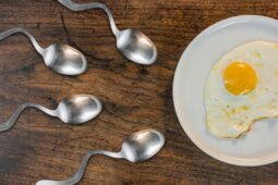 Makanan Ini Bisa Jadi Penambah Sperma Biar Kental, Penasaran?