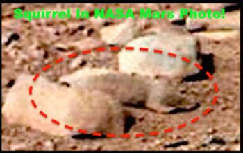 Tupai Alien Ditemukan Hidup di Planet Mars, Apa Kata Pakar?