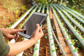 7 Aplikasi Berkebun Pilihan, Kamu Pilih yang Mana?