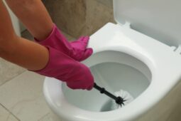 Cuka Putih untuk Bersihkan Kamar Mandi? Ini Caranya