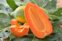 Makanan Ini Lebih Kaya Vitamin C, Dibandingkan Jeruk