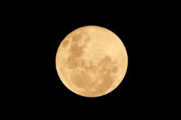 Debu Bulan Dibeli NASA, Harganya Mulai Rp15.000