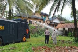 Teror Miliaran Semut di Banyumas, Begini Kisahnya