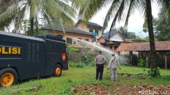 Teror Miliaran Semut di Banyumas, Begini Kisahnya