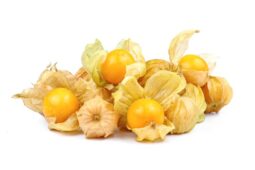 Buah Ciplukan dari Tanaman Liar Hingga Masuk Supermarket