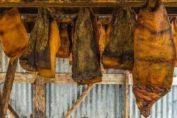 5 Kuliner Berbahaya yang Populer di Dunia