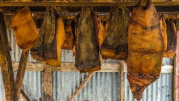 5 Kuliner Berbahaya yang Populer di Dunia