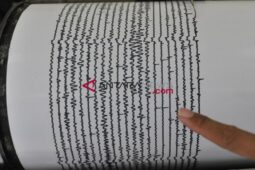 Fakta-Fakta Seputar Gempa Jepang Magnitudo 7,3