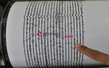 Fakta-Fakta Seputar Gempa Jepang Magnitudo 7,3