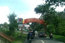 Ini Dia Deretan Wisata Viral di Sekitar Tawangmangu, ke Sini Yuk!