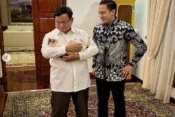 Lagi Ramai Dicari di Instagram! Ini Foto Lucu Kucing Viral Bobby Milik Prabowo