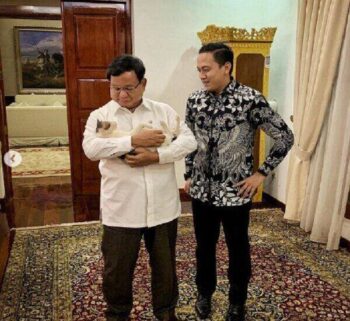 Lagi Ramai Dicari di Instagram! Ini Foto Lucu Kucing Viral Bobby Milik Prabowo