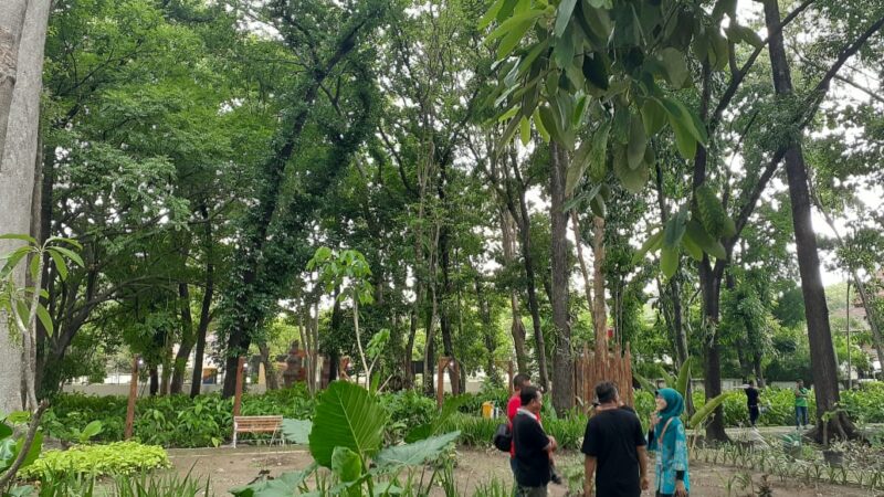 Populasi Gelatik Jawa di Madiun Tinggal Seribuan Ekor