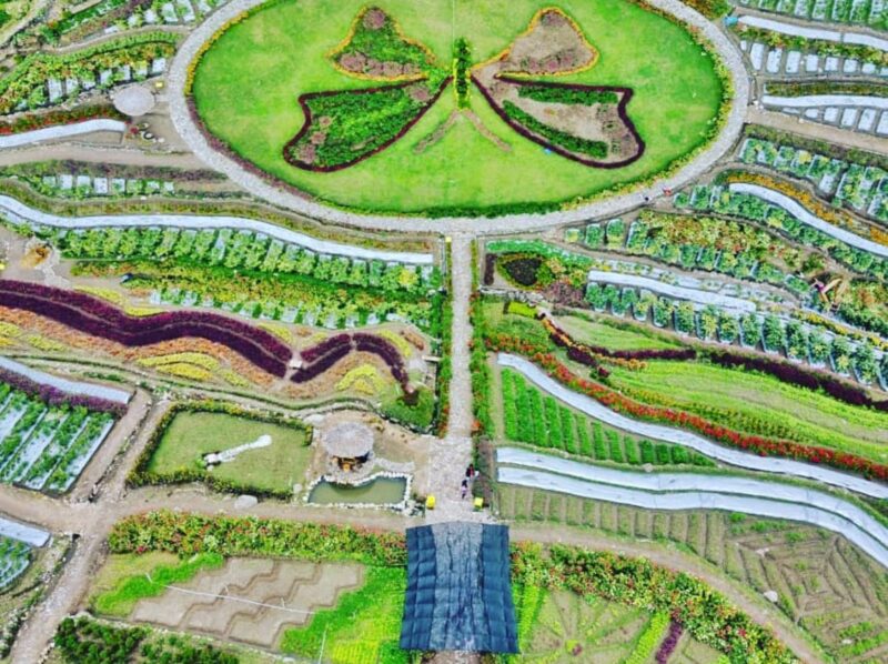 Kebun Bunga Refugia Magetan Dibuka Hari Ini Lur!