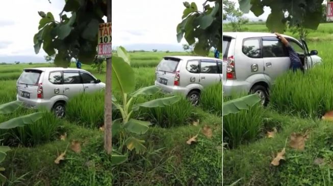Hiii…..Avanza Masuk ke Tengah Sawah Tanpa Bekas Lumpur di Madiun