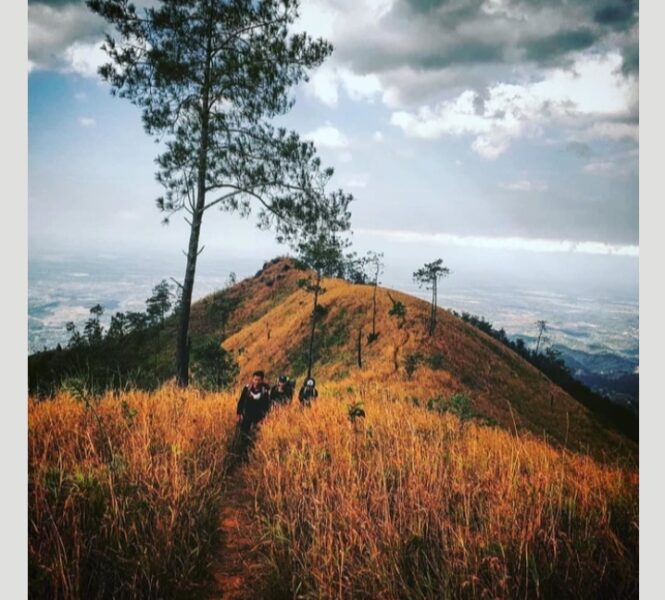 #Kamis Misteri: Mitos Gunung Wilis Yang Bikin Bulu Kuduk Merinding