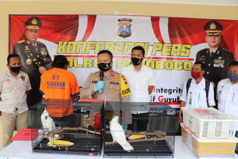 Pemuda Madiun Ditangkap Polisi Gara-Gara Jual Burung Kakak Tua