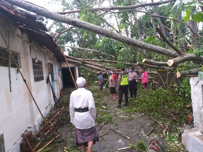 Cuaca Esktrem di Blitar, 11 Rumah dan 1 Mobil Rusak Tertimpa Pohon Tumbang