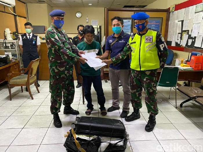 Penyelundupan Ribuan Benih Lobster di Bandara Juanda Digagalkan