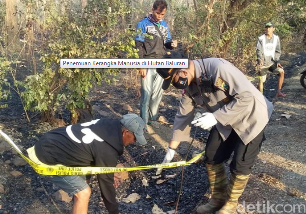 Hii…Ada Kerangka Manusia Terbungkus Plastik di Hutan Baluran yang Terbakar