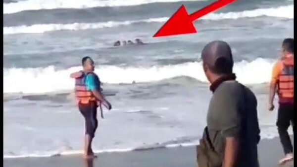 Innalillahi…Warga Madiun Terseret Ombak Pantai Parangtritis Yogyakarta Ditemukan Meninggal