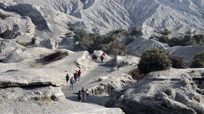 Ini Rekomendasi Empat Gurun Pasir di Tanah Air Yang Wajib Didatangi