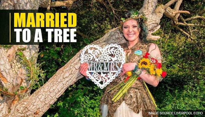 Wah…Pohon Tua Ini jadi Suami Ibu Dua Anak Di Inggris