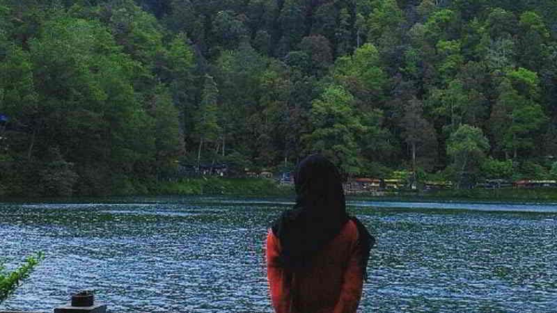 Ini dia 5 Spot Foto Hutan di Magetan Yang Masih Alami