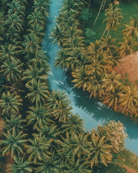 Disebut Mirip Sungai Amazon, Seperti Inilah Potret Sungai Maron di Pacitan