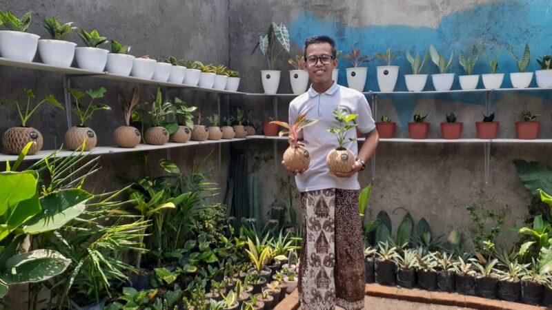 Santri Ponpes di Madiun Sukses Berbisnis Kokedama, Omzet Jutaan Rupiah Per Bulan