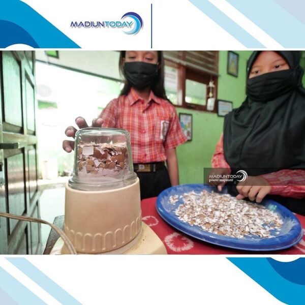 Inspiratif, Siswa SD di Madiun Manfaatkan Limbah Cangkang Telur jadi Pupuk