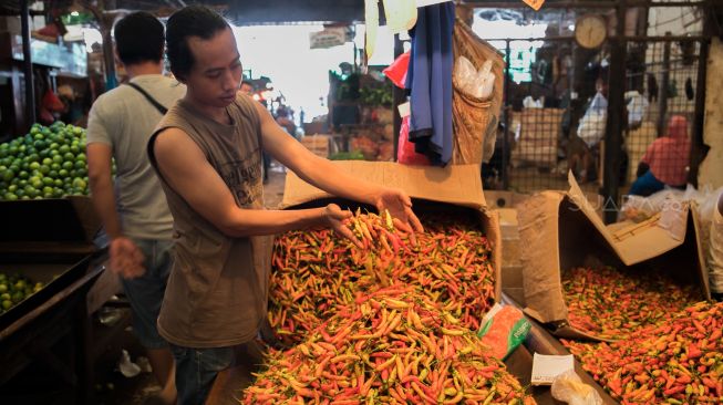 Berikut Ini Lima Daerah Penghasil Cabai Rawit Terbesar di Jawa Timur