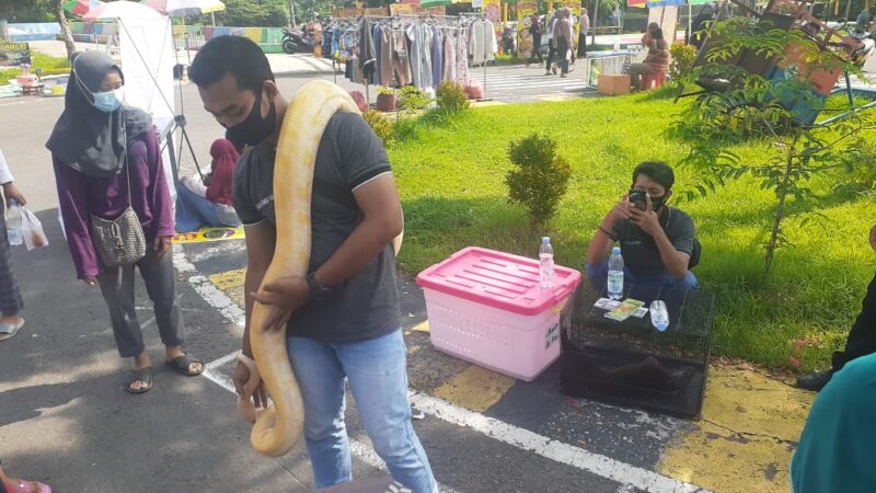Demi Pakan Satwa, Karyawan Madiun Umbul Square Rela “Ngamen”