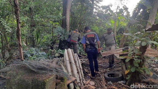 Anak-Anak Surabaya Gatal-Gatal Diteror Ulat Bulu