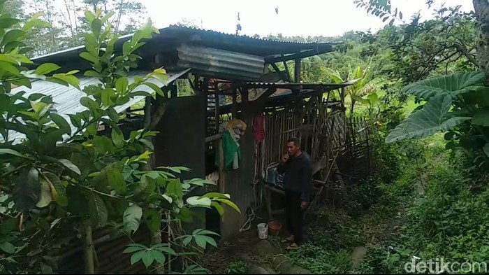 Puluhan Kambing di Kota Batu Hilang Misterius