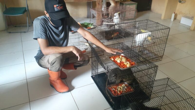 Madiun Umbul Square Tutup, Pengelola Pusing Lagi