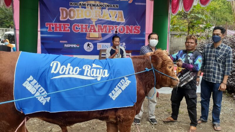 Mantap! Mancing Ikan, Pria Asal Dolopo Ini Malah Dapat Sapi