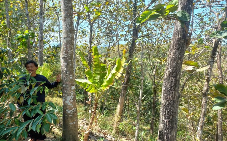 Ingin Alam Tetap Lestari, Desa Suluk Segera Bikin Perdes soal Larangan Tambang