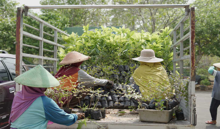 BPDAS Bengawan Solo Miliki 52 Unit Kebun Bibit Rakyat di Jateng dan Jatim