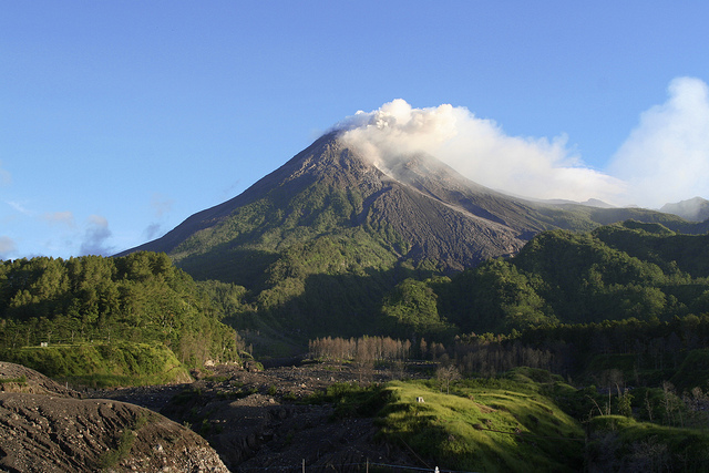 Jenis Anggrek di Merapi Bertambah