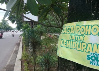 Forum Kota Bikin Petisi Menolak Penebangan Pohon