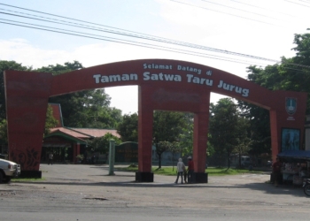 DINAMIKA 103: Pengembangan TSTJ