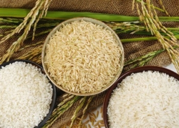 INFO SEHAT : Kurangi Konsumsi Nasi Kurangi Gula