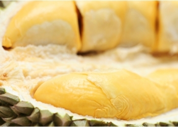 INFO KESEHATAN : Minum Air Dari Kulit Durian Bermanfaat?