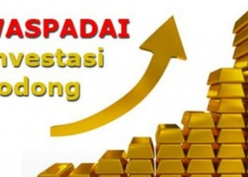 Takut Tertipu Investasi Bodong, Inilah Tipsnya