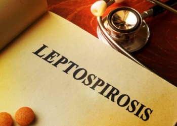Kesadaran Masyarakat Meningkat, Kasus Leptospirosis Berkurang